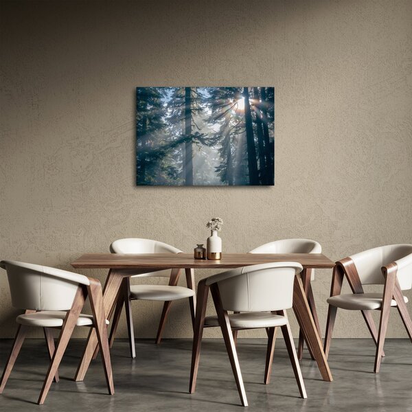 Fák képe a ragyogó nappal (70x50 cm)