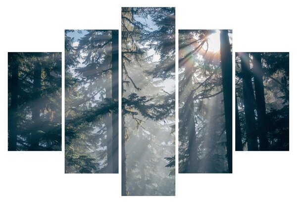 Fák képe a ragyogó nappal (150x105 cm)