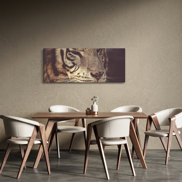 Tigris képe (120x50 cm)