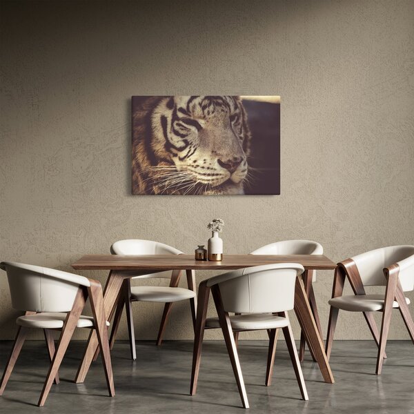 Tigris képe (90x60 cm)