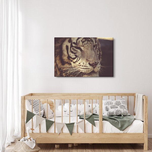 Tigris képe (90x60 cm)