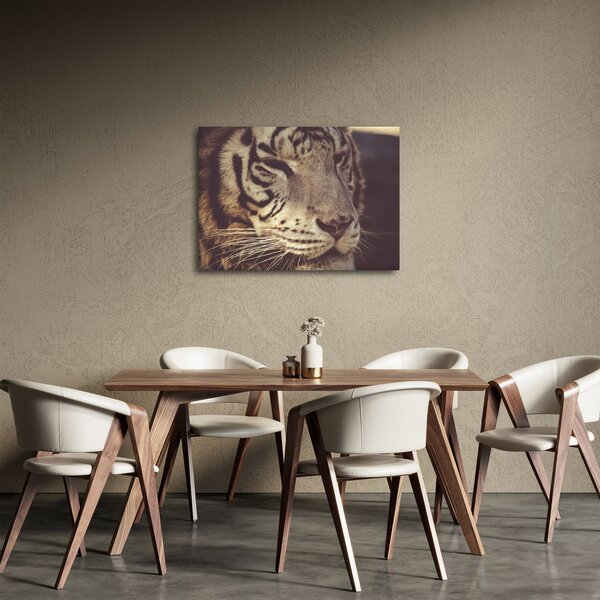 Tigris képe (70x50 cm)
