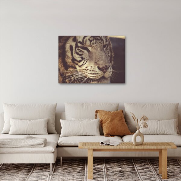 Tigris képe (70x50 cm)