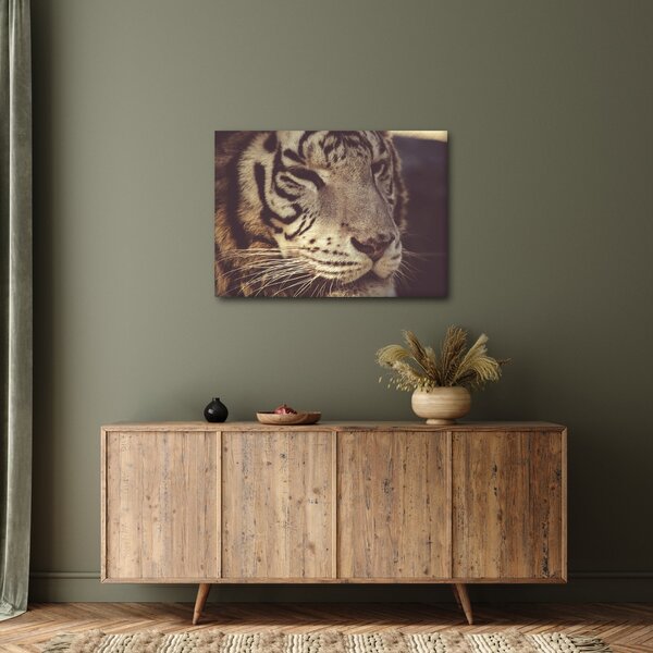 Tigris képe (70x50 cm)