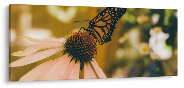 Pillangó képe a virágon (120x50 cm)