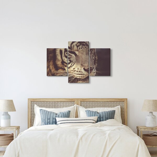 Tigris képe (90x60 cm)