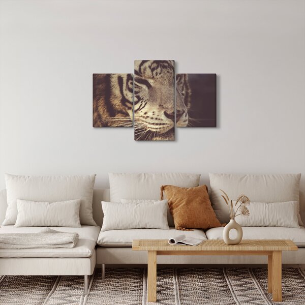 Tigris képe (90x60 cm)