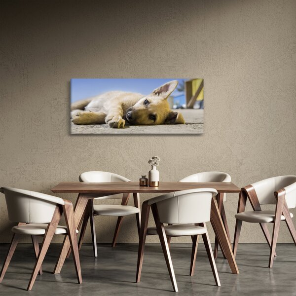 Fekvő kiskutya képe (120x50 cm)