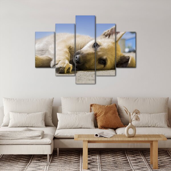 Fekvő kiskutya képe (150x105 cm)