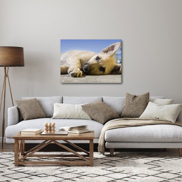 Fekvő kiskutya képe (70x50 cm)