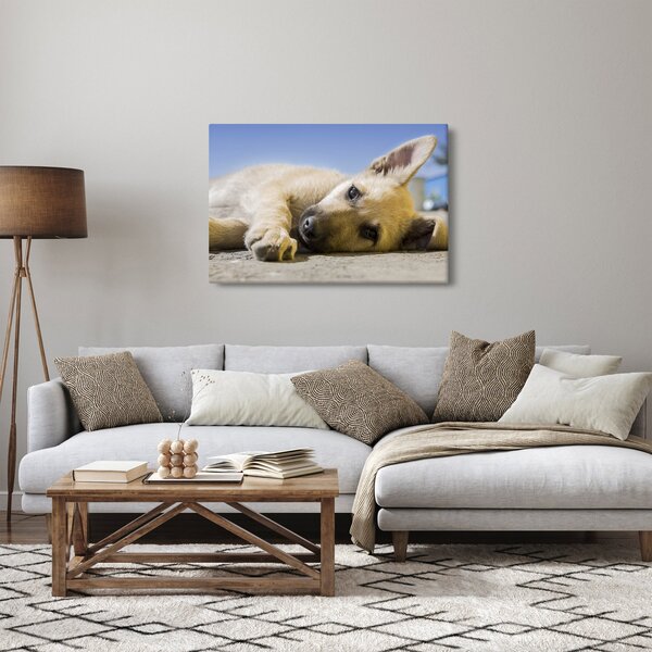 Fekvő kiskutya képe (90x60 cm)