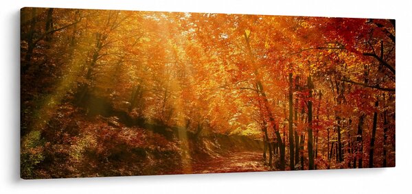 Őszi erdő képe (120x50 cm)