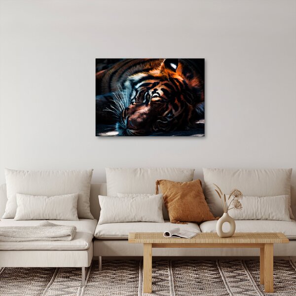 Egy fekvő tigris képe (70x50 cm)