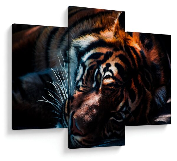 Egy fekvő tigris képe (90x60 cm)