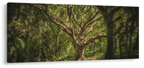 Fa képe (120x50 cm)