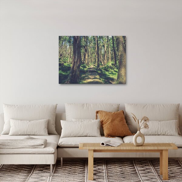 Kép egy út a fák között (70x50 cm)