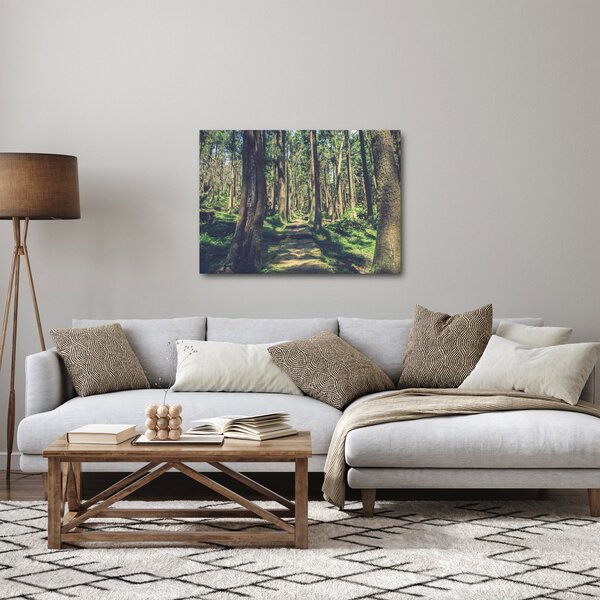 Kép egy út a fák között (70x50 cm)