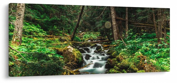 Patak képe az erdőben (120x50 cm)