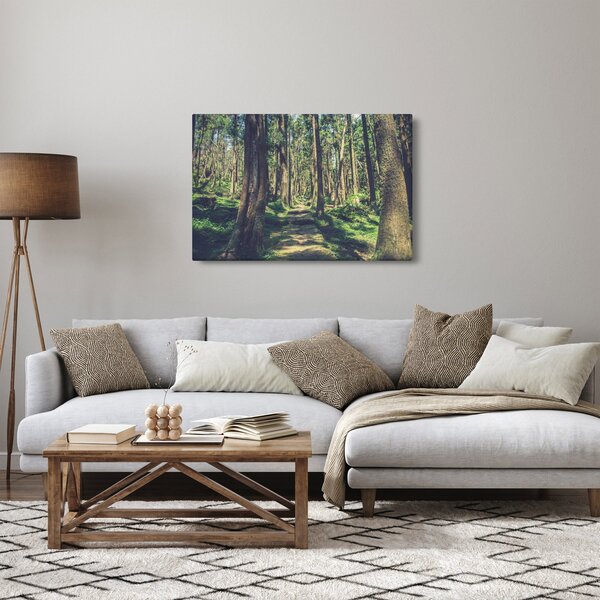Kép egy út a fák között (90x60 cm)