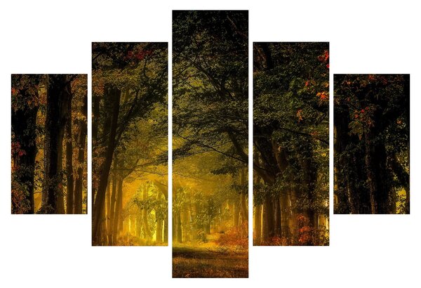 Erdő képe (150x105 cm)