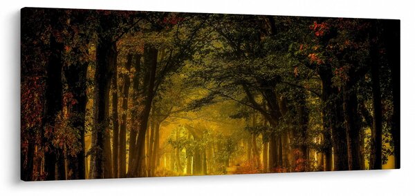 Erdő képe (120x50 cm)