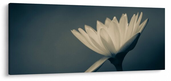 Virágos kép (120x50 cm)