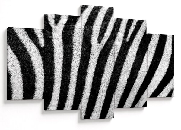 Kép egy zebra bőrről (150x105 cm)