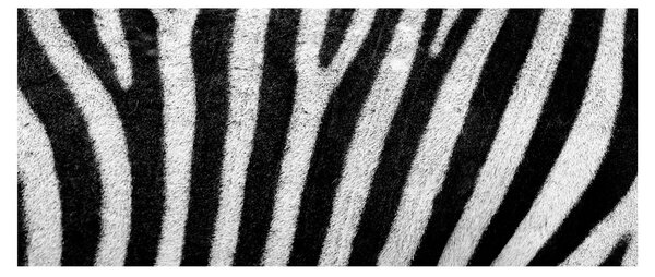 Kép egy zebra bőrről (120x50 cm)