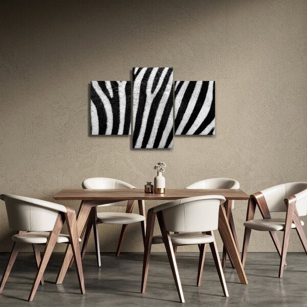 Kép egy zebra bőrről (90x60 cm)