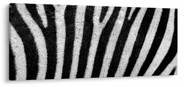 Kép egy zebra bőrről (120x50 cm)