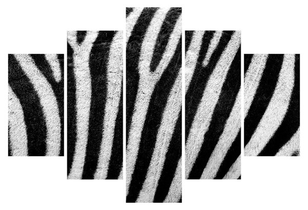 Kép egy zebra bőrről (150x105 cm)