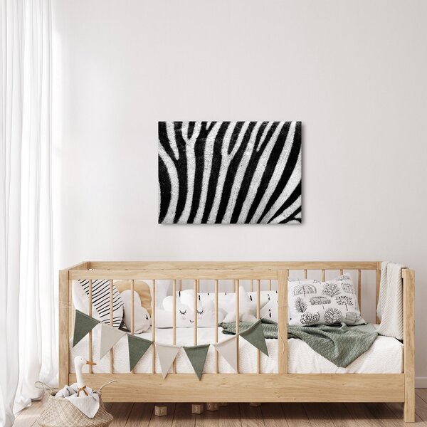 Kép egy zebra bőrről (70x50 cm)