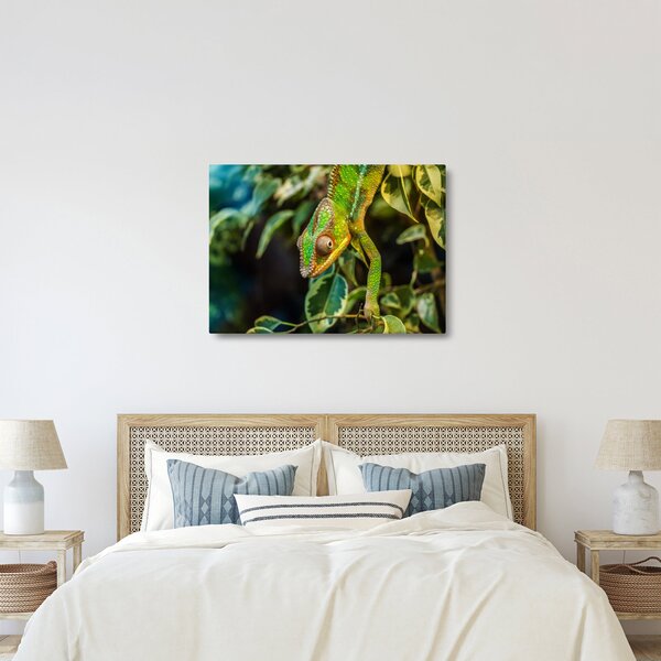 Kaméleon képe (70x50 cm)