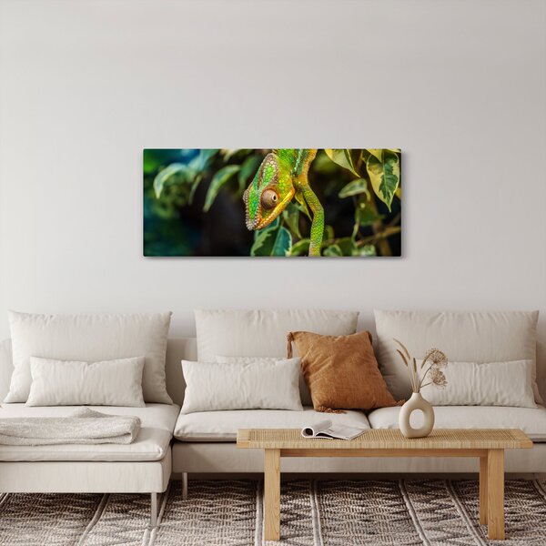 Kaméleon képe (120x50 cm)