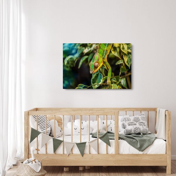 Kaméleon képe (90x60 cm)