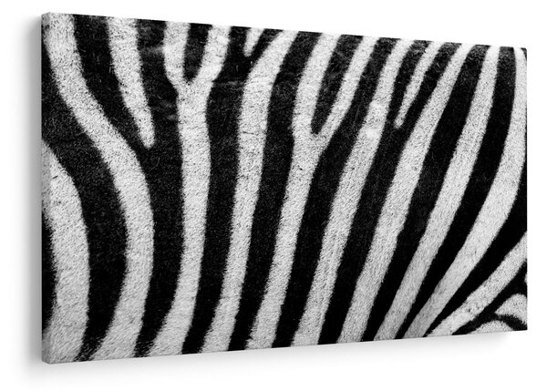 Kép egy zebra bőrről (90x60 cm)