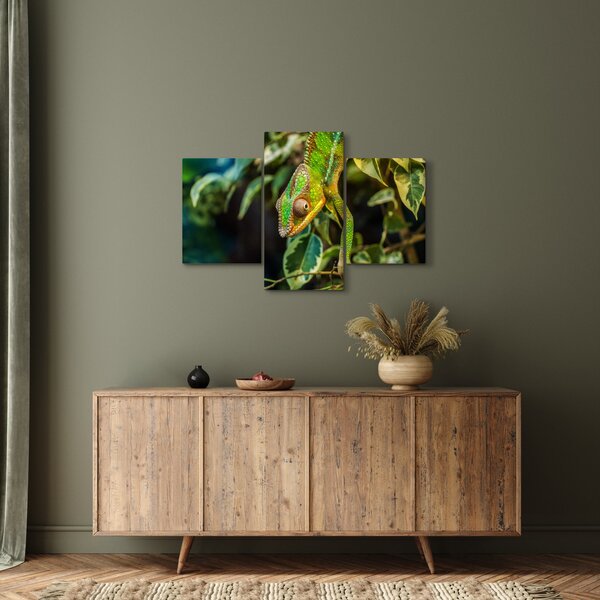 Kaméleon képe (90x60 cm)