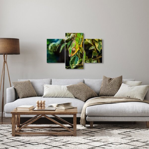 Kaméleon képe (90x60 cm)