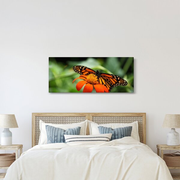 Pillangó képe a virágon (120x50 cm)