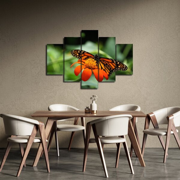 Pillangó képe a virágon (150x105 cm)