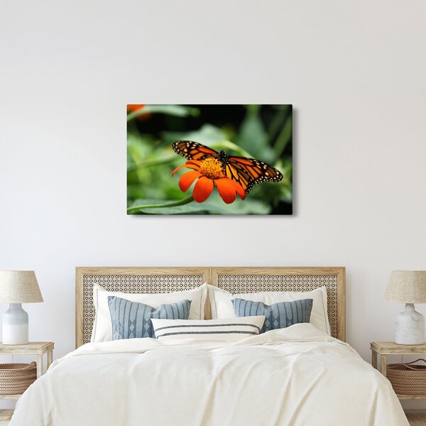 Pillangó képe a virágon (90x60 cm)