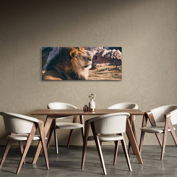 Egy fekvő oroszlán képe (120x50 cm)