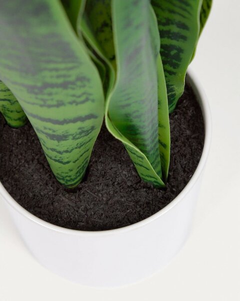 Műnövény (magasság 55 cm) Sansevieria – Kave Home