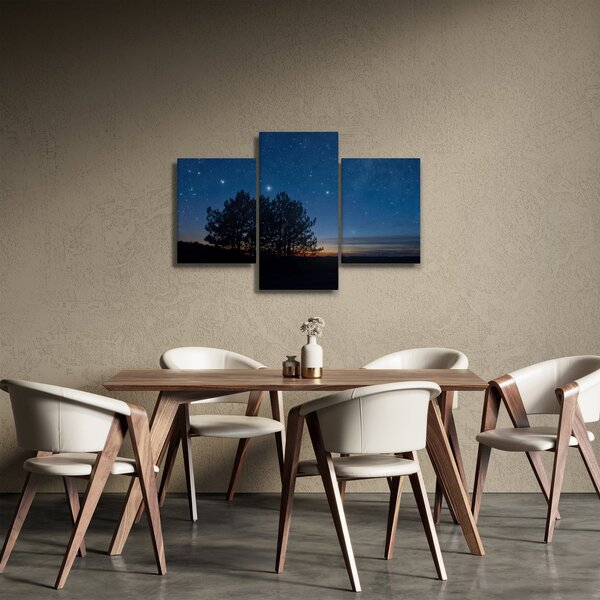 A fák éjjel képe (90x60 cm)
