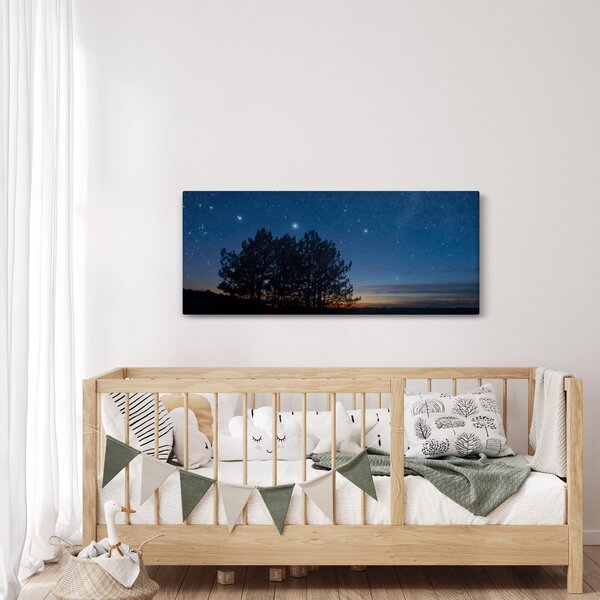 A fák éjjel képe (120x50 cm)