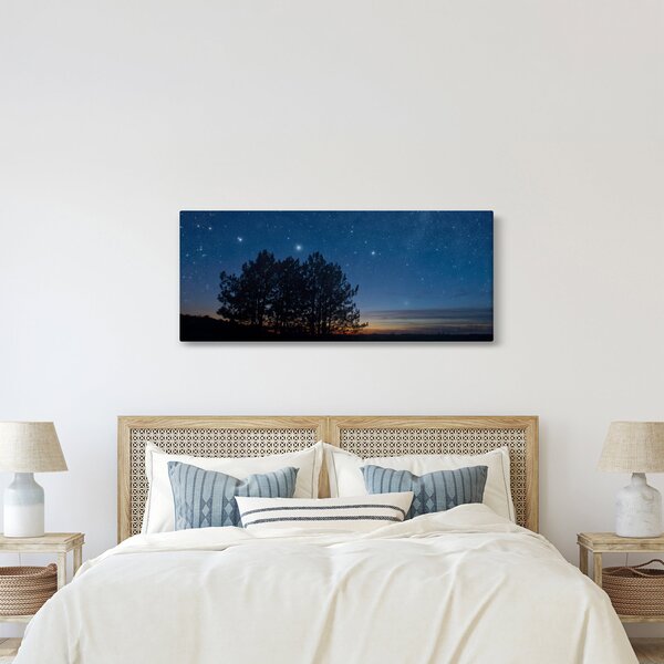 A fák éjjel képe (120x50 cm)