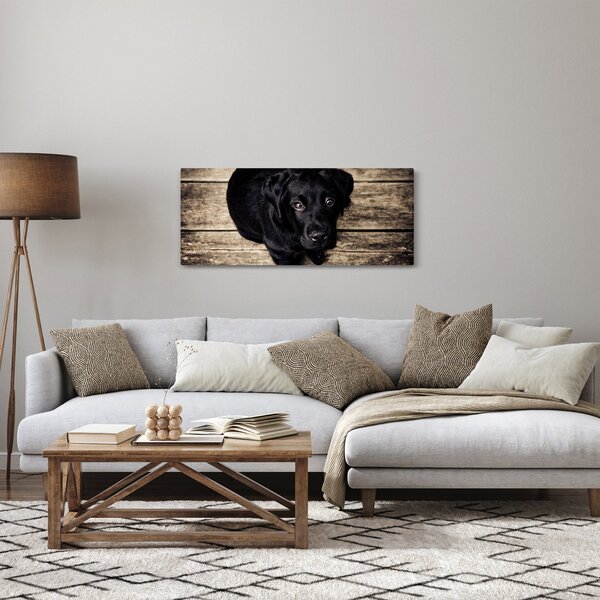 Egy fekete kiskutya képe (120x50 cm)
