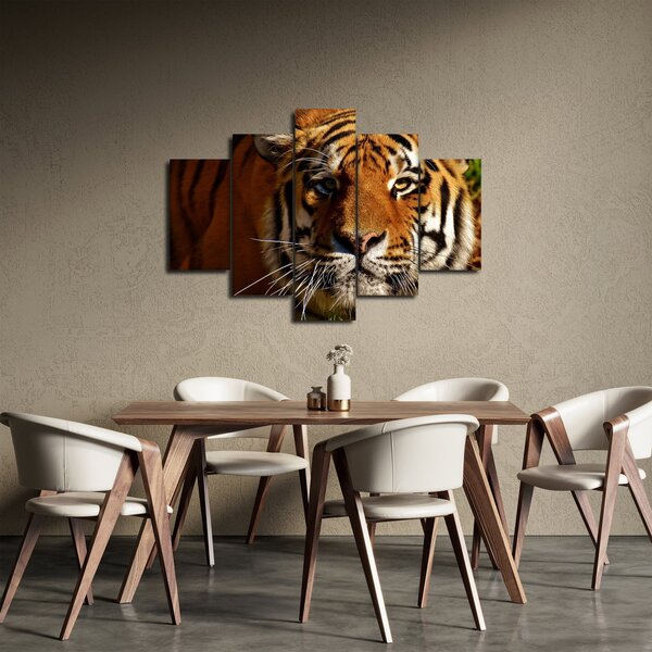 Tigris képe (150x105 cm)