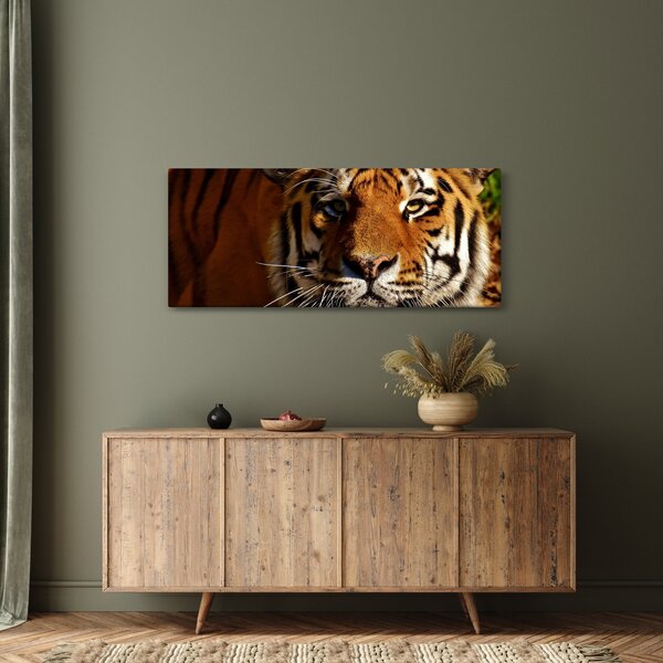 Tigris képe (120x50 cm)