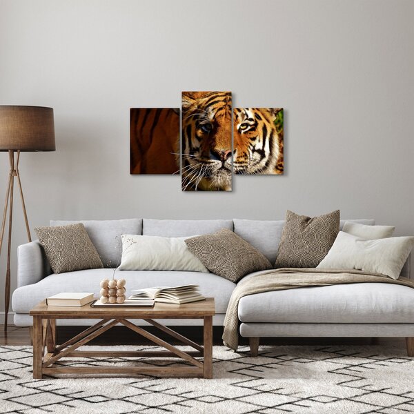 Tigris képe (90x60 cm)